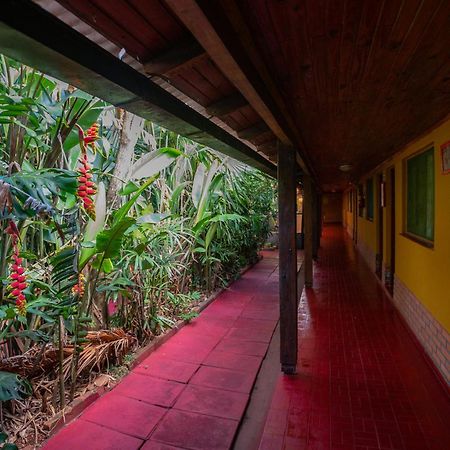 Hosteria Los Helechos Puerto Iguazú Eksteriør billede